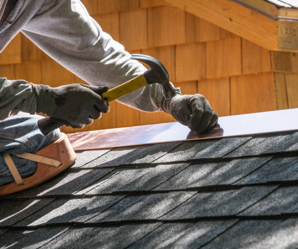 Best Roof Gutter Cleaning  in Bluewell, WV